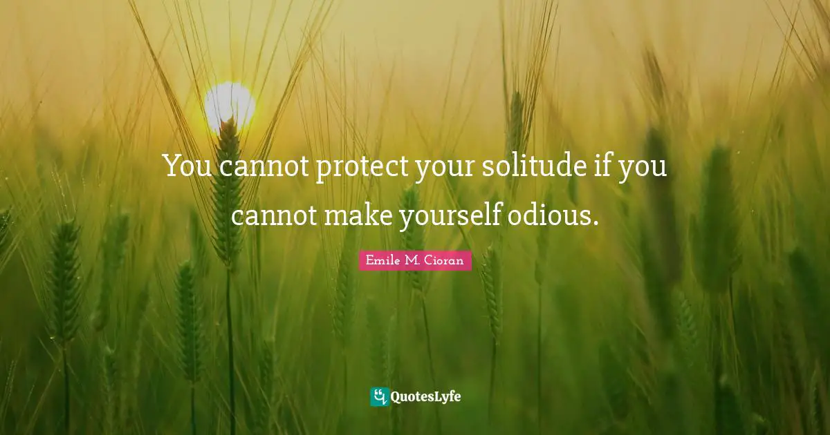 You cannot protect your solitude if you cannot make yourself odious.
