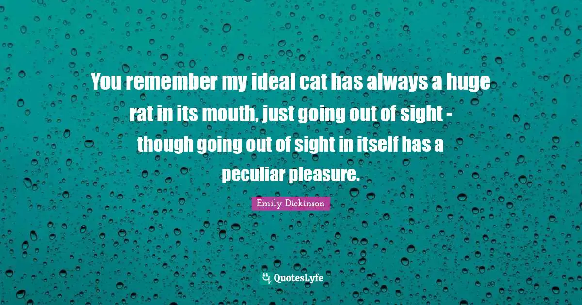You remember my ideal cat has always a huge rat in its mouth, just going out of sight - though going out of sight in itself has a peculiar pleasure.