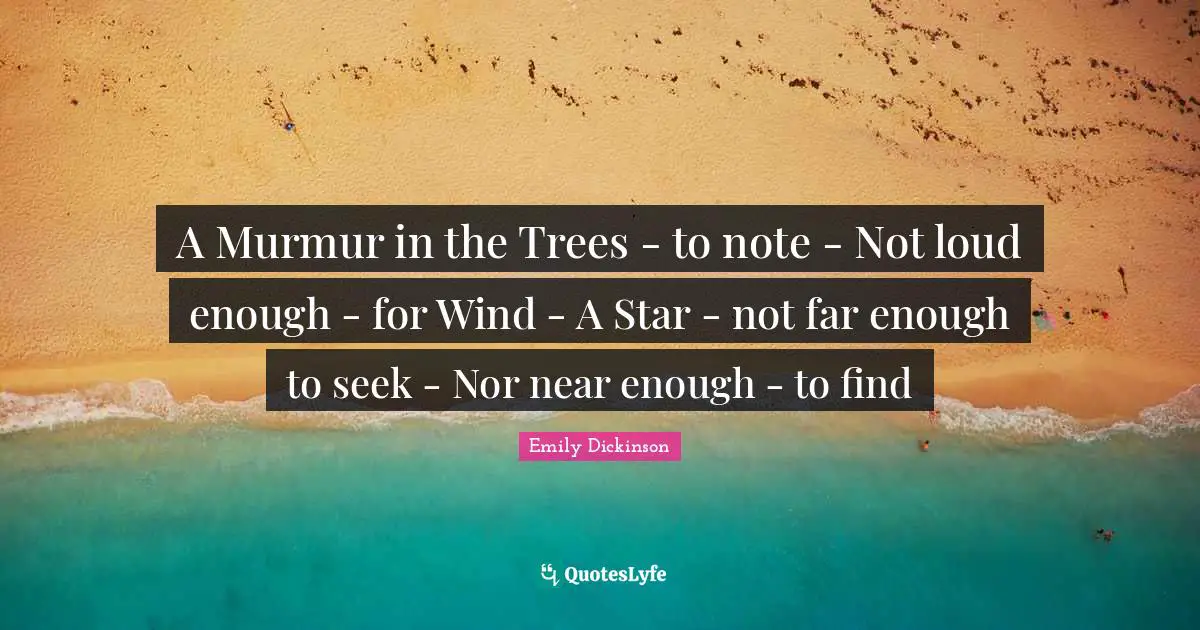 A Murmur in the Trees - to note - Not loud enough - for Wind - A Star - not far enough to seek - Nor near enough - to find
