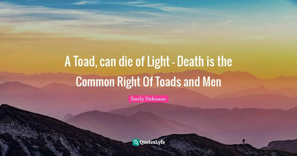 A Toad, can die of Light - Death is the Common Right Of Toads and Men