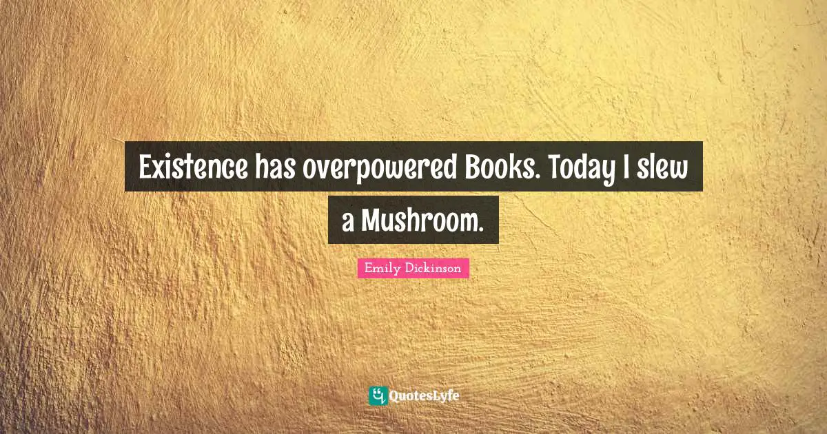 Existence has overpowered Books. Today I slew a Mushroom.