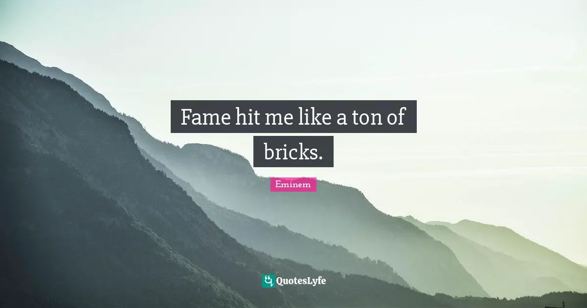 Fame hit me like a ton of bricks.