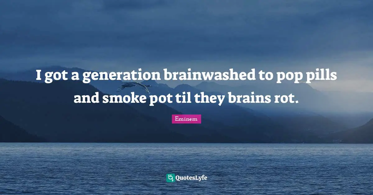 I got a generation brainwashed to pop pills and smoke pot til they brains rot.