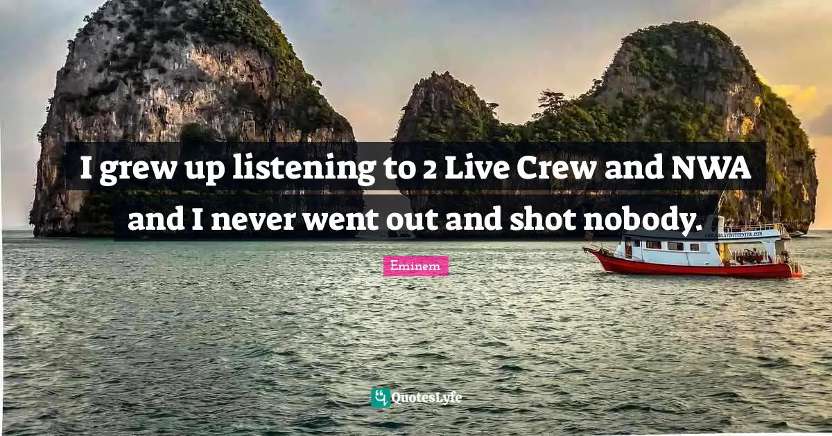 I grew up listening to 2 Live Crew and NWA and I never went out and shot nobody.