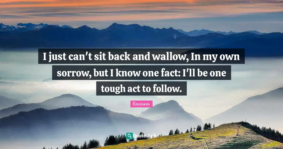 I just can't sit back and wallow, In my own sorrow, but I know one fact: I'll be one tough act to follow.