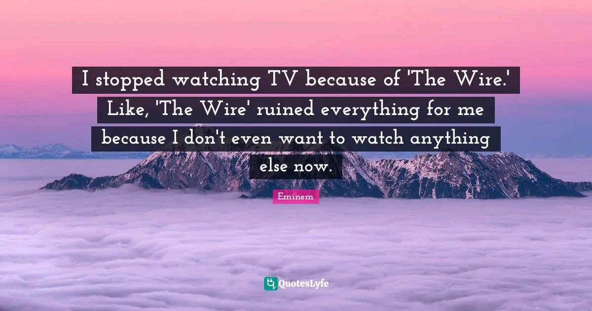 I stopped watching TV because of 'The Wire.' Like, 'The Wire' ruined everything for me because I don't even want to watch anything else now.