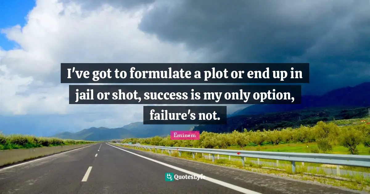 I've got to formulate a plot or end up in jail or shot, success is my only option, failure's not.