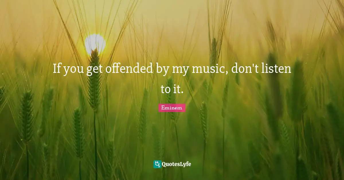 If you get offended by my music, don't listen to it.