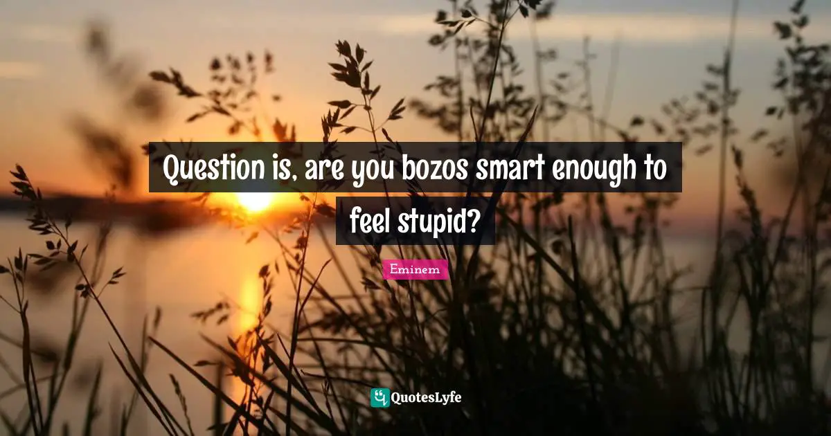Question is, are you bozos smart enough to feel stupid?