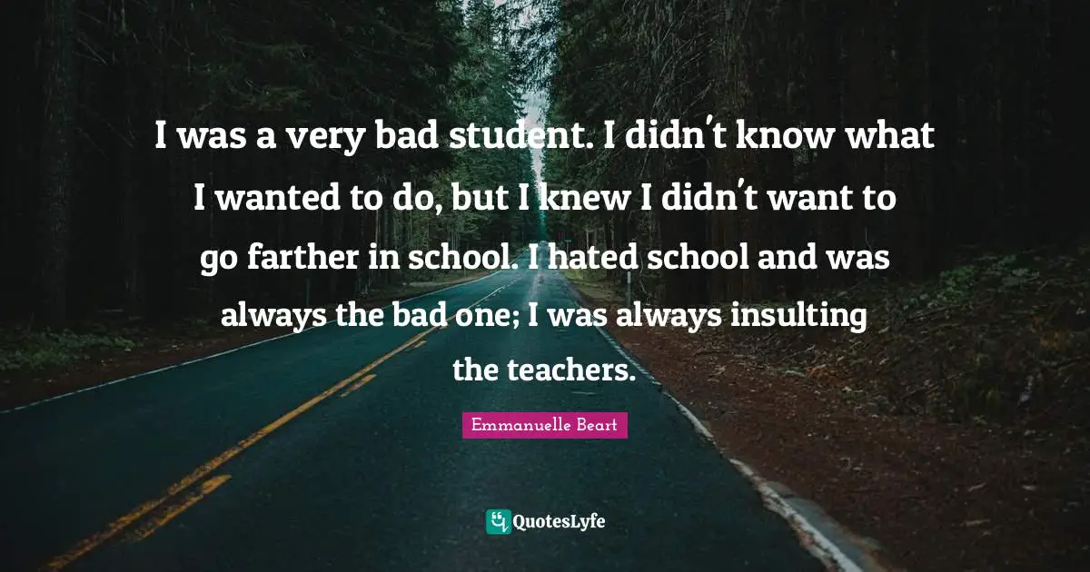 I was a very bad student. I didn't know what I wanted to do, but I knew I didn't want to go farther in school. I hated school and was always the bad one; I was always insulting the teachers.