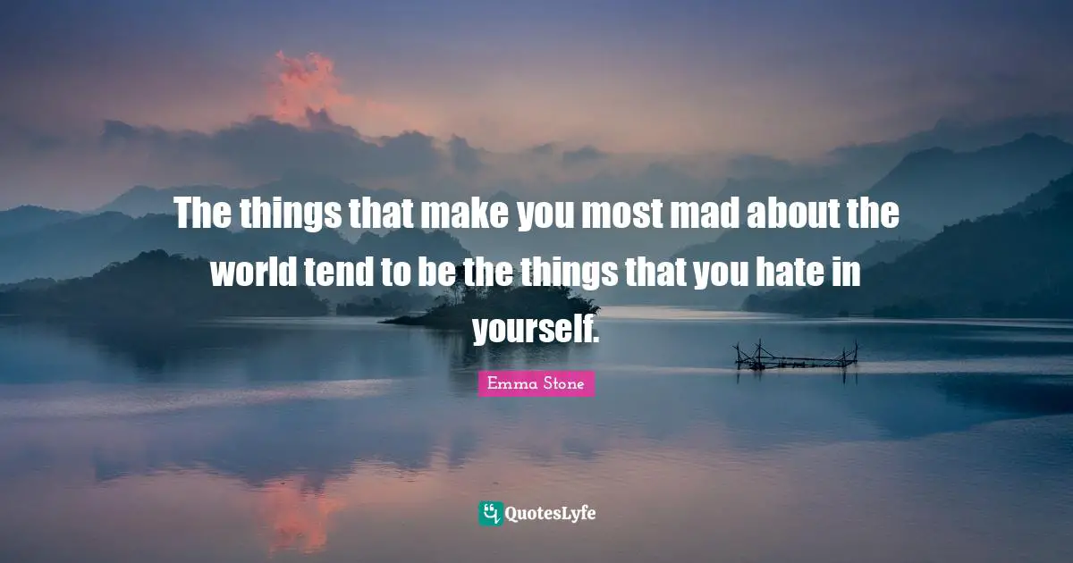 The things that make you most mad about the world tend to be the things that you hate in yourself.