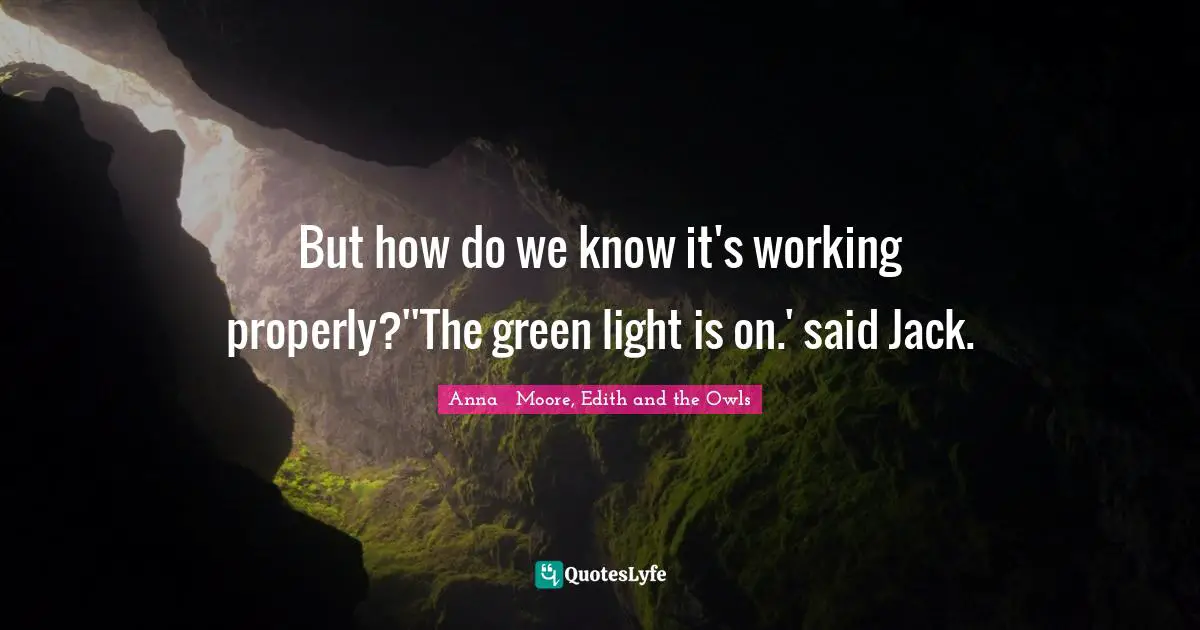 But how do we know it's working properly?''The green light is on.' said Jack.