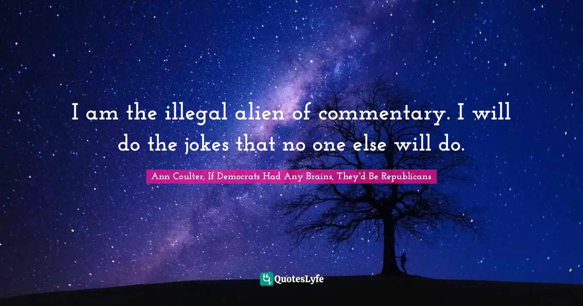 I am the illegal alien of commentary. I will do the jokes that no one else will do.