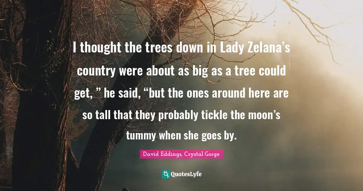 I thought the trees down in Lady Zelana’s country were about as big as a tree could get, ” he said, “but the ones around here are so tall that they probably tickle the moon’s tummy when she goes by.