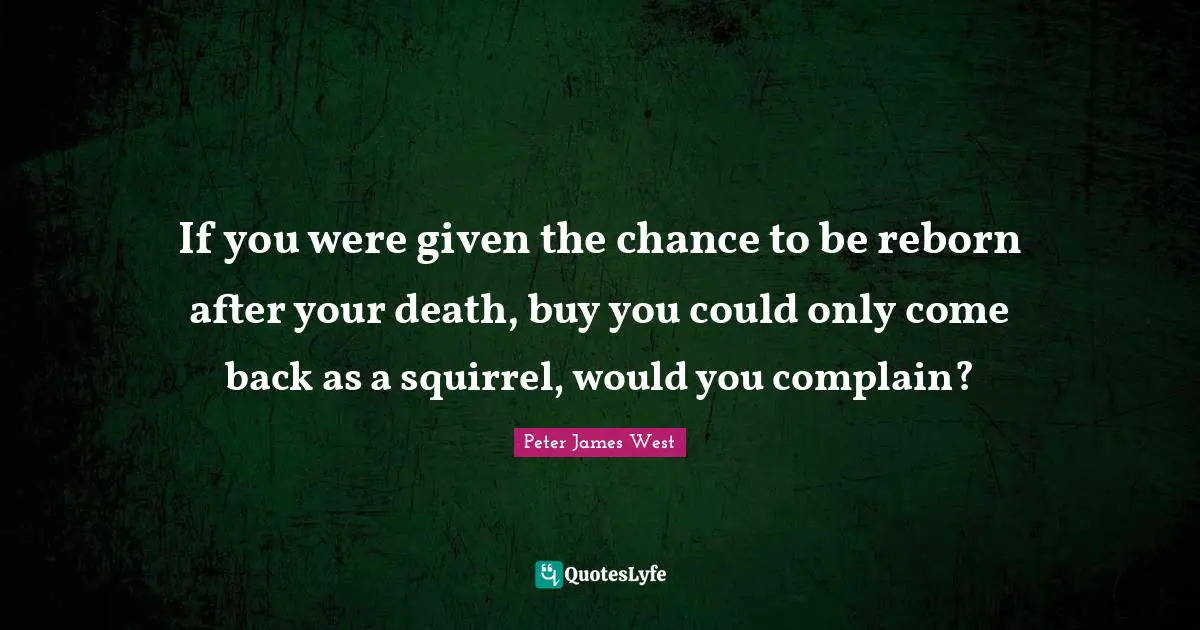 If you were given the chance to be reborn after your death, buy you could only come back as a squirrel, would you complain?