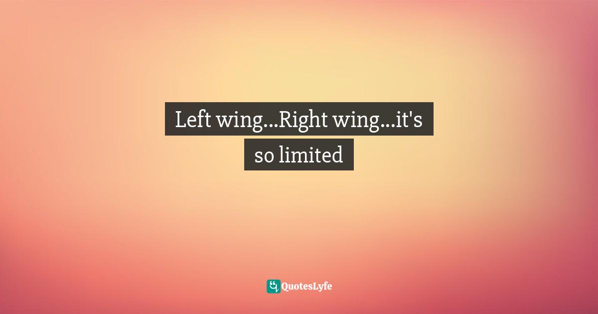 Left wing...Right wing...it's so limited
