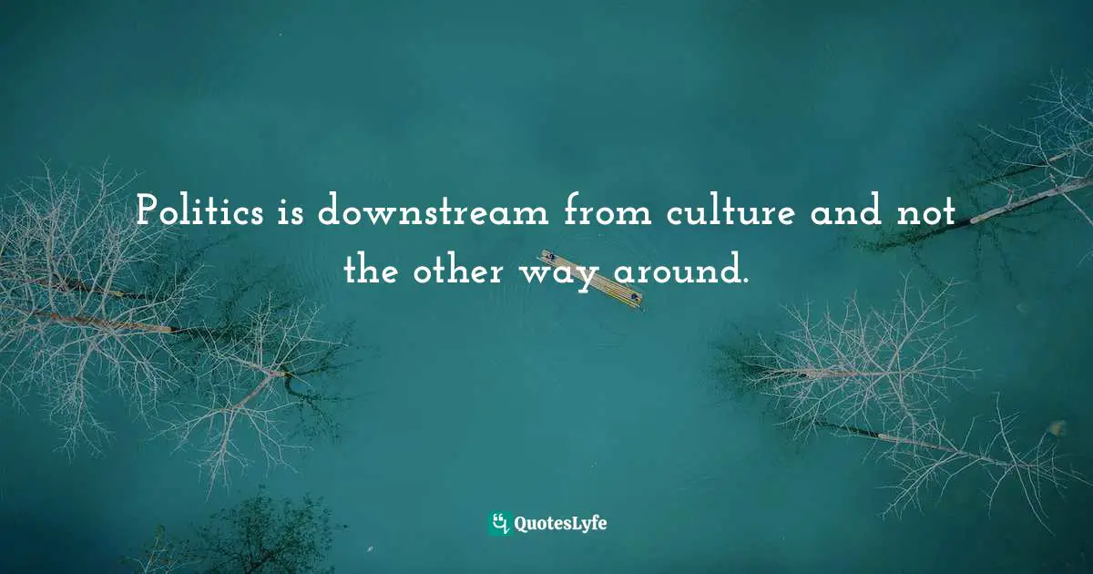 Politics is downstream from culture and not the other way around.
