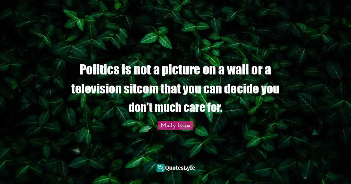 Politics is not a picture on a wall or a television sitcom that you can decide you don't much care for.