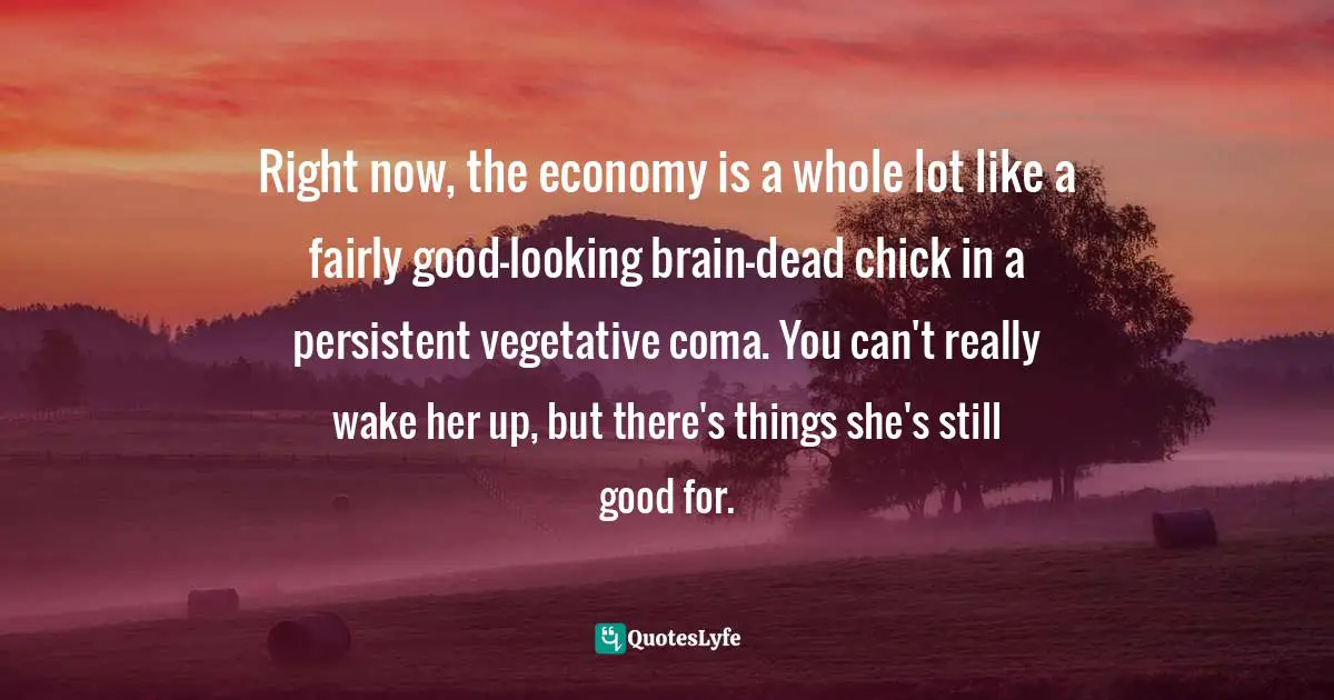 Right now, the economy is a whole lot like a fairly good-looking brain-dead chick in a persistent vegetative coma. You can't really wake her up, but there's things she's still good for.