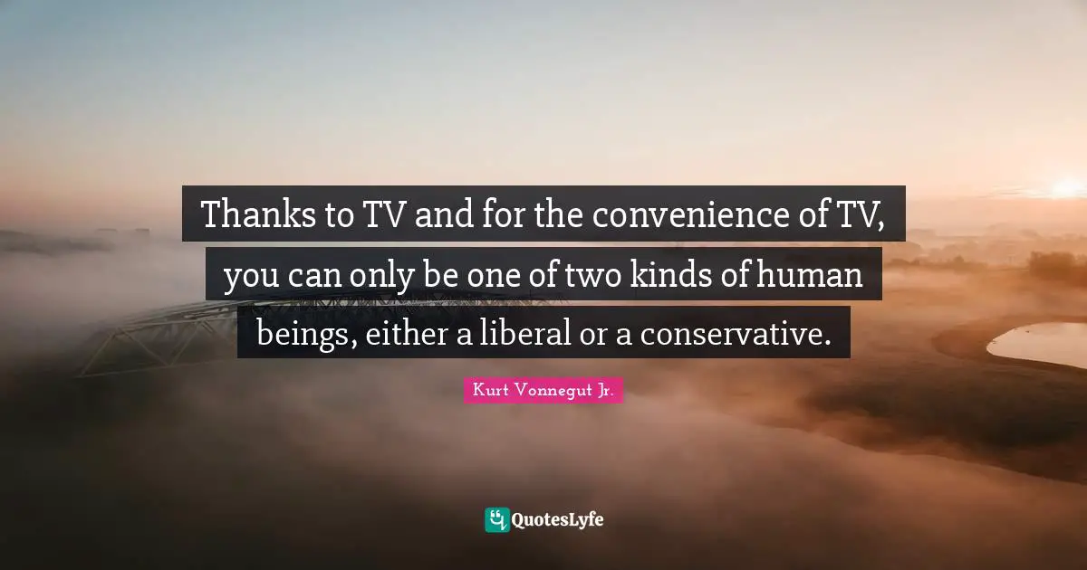 Thanks to TV and for the convenience of TV, you can only be one of two kinds of human beings, either a liberal or a conservative.