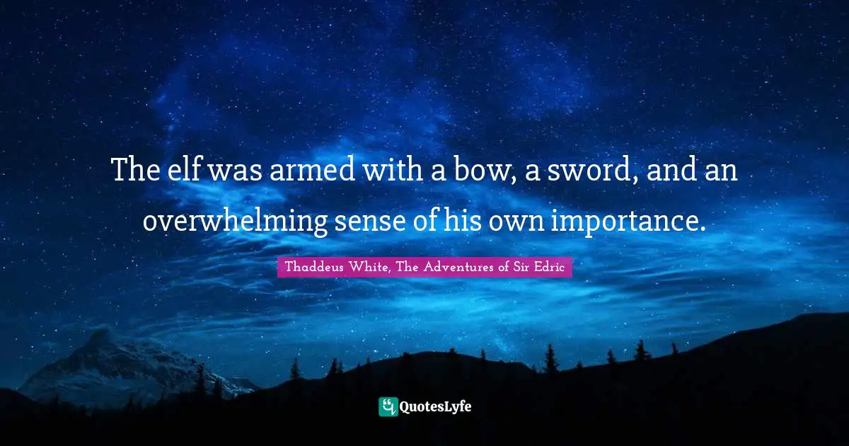 The elf was armed with a bow, a sword, and an overwhelming sense of his own importance.