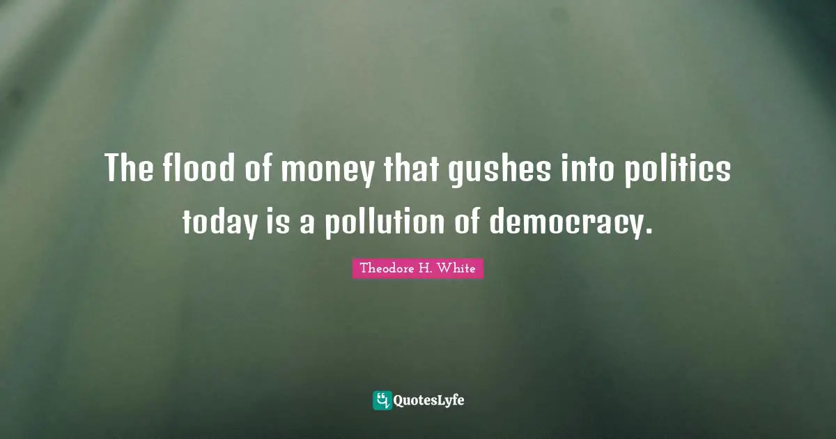 The flood of money that gushes into politics today is a pollution of democracy.