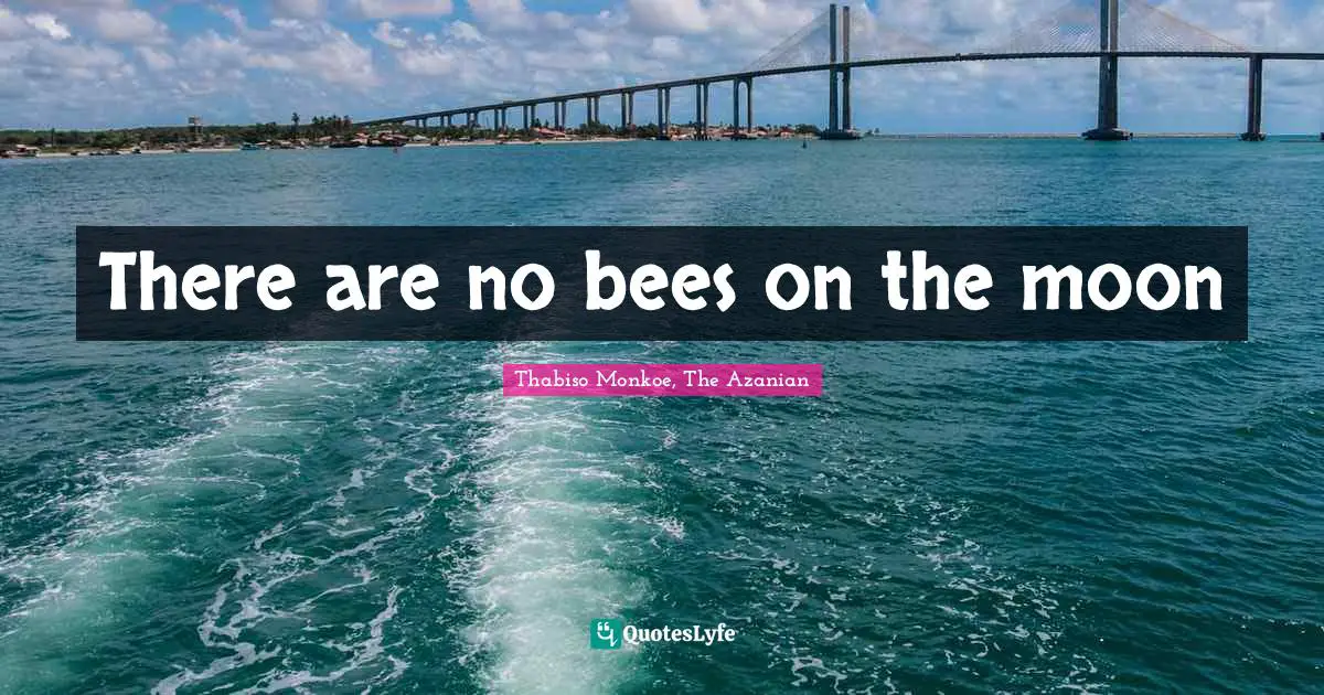 Thabiso Monkoe, The Azanian Quotes: "There are no bees on the moon"