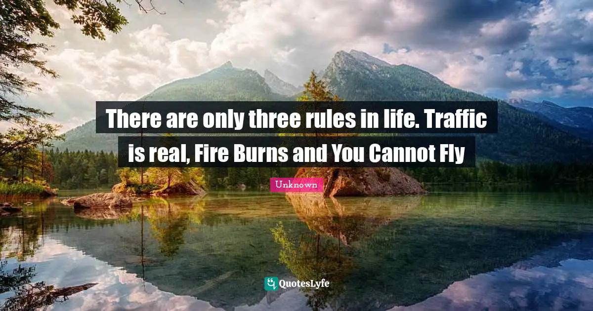 There are only three rules in life. Traffic is real, Fire Burns and You Cannot Fly