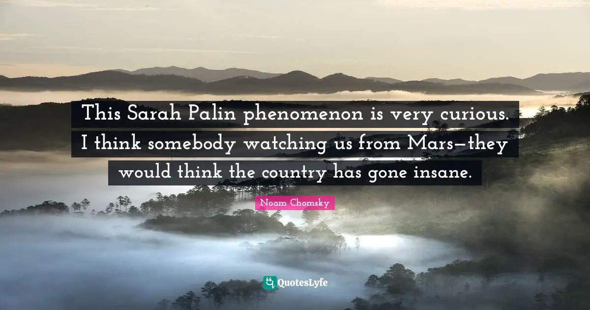 This Sarah Palin phenomenon is very curious. I think somebody watching us from Mars—they would think the country has gone insane.