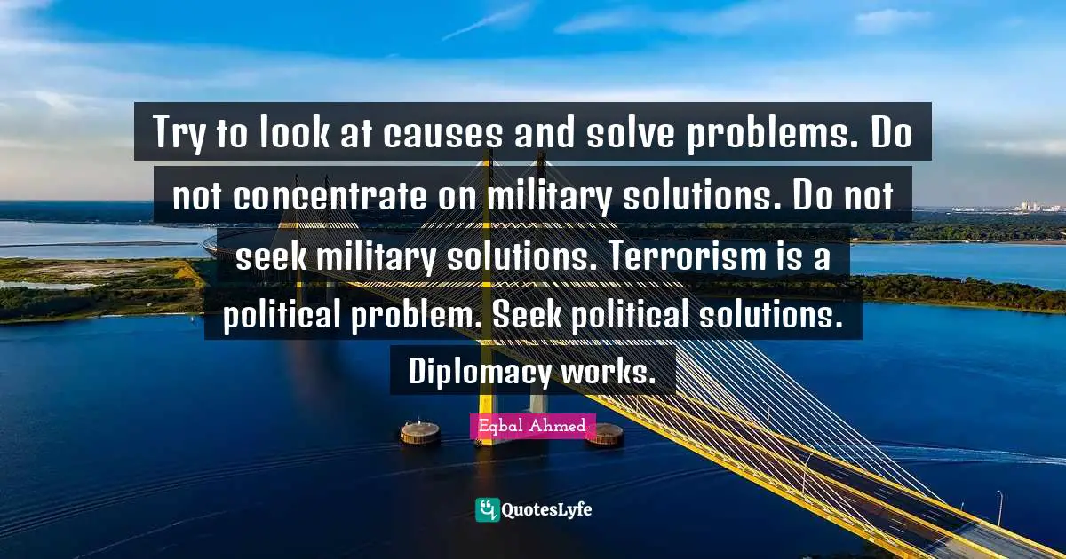 Try to look at causes and solve problems. Do not concentrate on military solutions. Do not seek military solutions. Terrorism is a political problem. Seek political solutions. Diplomacy works.