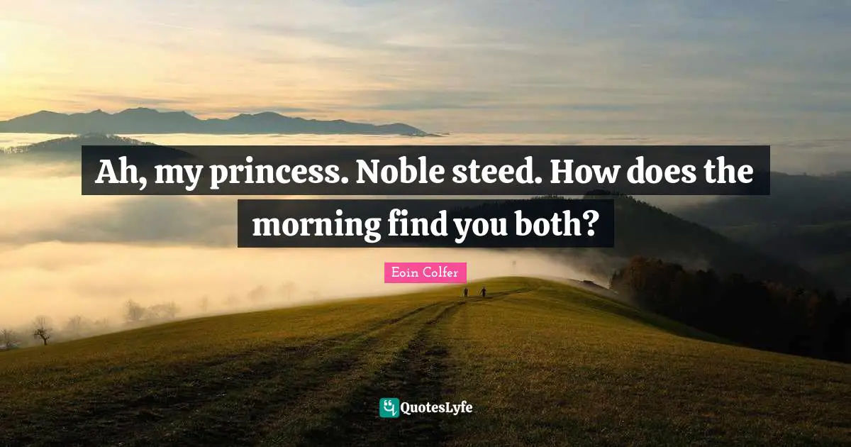 Ah, my princess. Noble steed. How does the morning find you both?