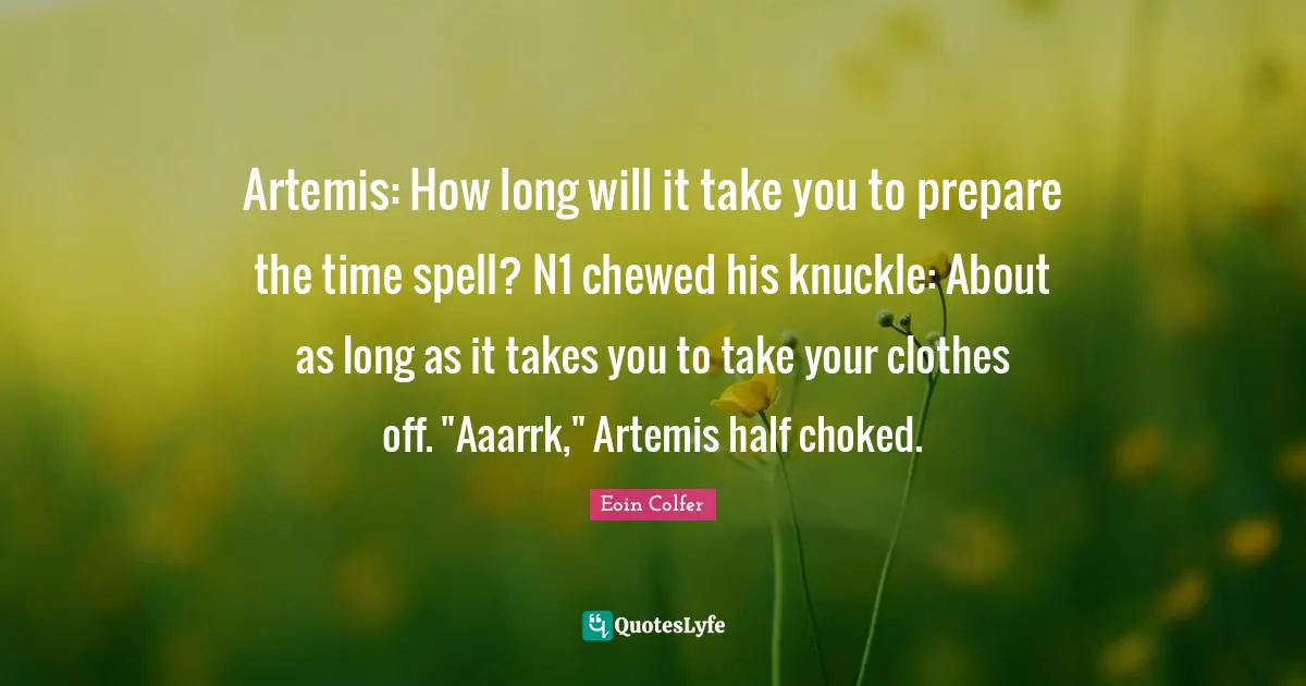 Artemis: How long will it take you to prepare the time spell? N1 chewed his knuckle: About as long as it takes you to take your clothes off. "Aaarrk," Artemis half choked.