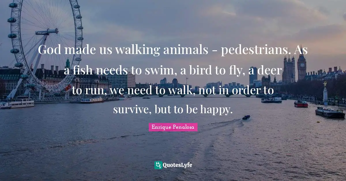 God made us walking animals - pedestrians. As a fish needs to swim, a bird to fly, a deer to run, we need to walk, not in order to survive, but to be happy.