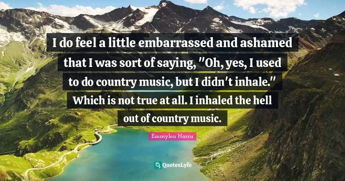 I do feel a little embarrassed and ashamed that I was sort of saying, "Oh, yes, I used to do country music, but I didn't inhale." Which is not true at all. I inhaled the hell out of country music.