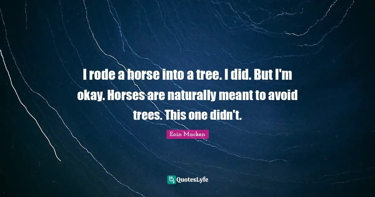I rode a horse into a tree. I did. But I'm okay. Horses are naturally meant to avoid trees. This one didn't.