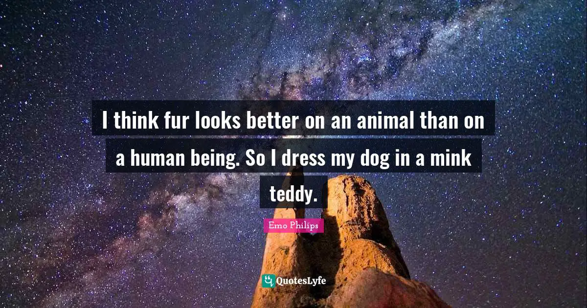 I think fur looks better on an animal than on a human being. So I dress my dog in a mink teddy.
