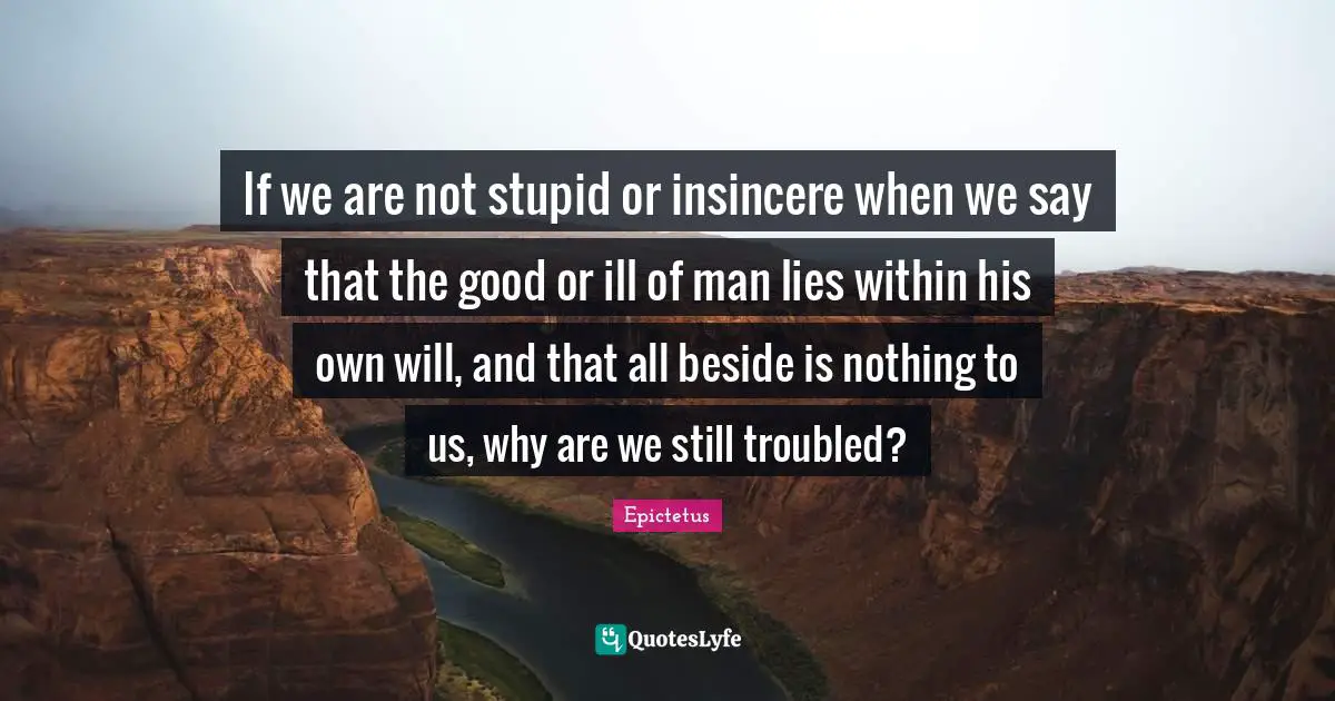 If we are not stupid or insincere when we say that the good or ill of man lies within his own will, and that all beside is nothing to us, why are we still troubled?