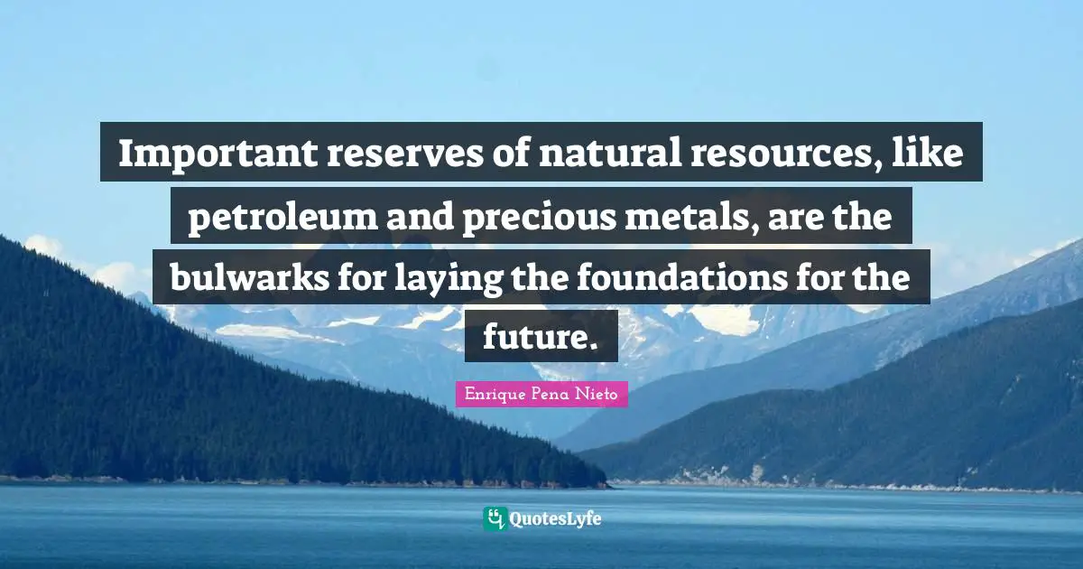 Reserves Quotes: "Important reserves of natural resources, like petroleum and precious metals, are the bulwarks for laying the foundations for the future."
