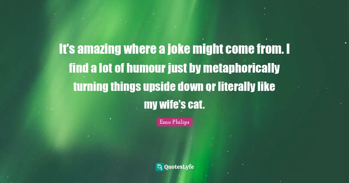 It's amazing where a joke might come from. I find a lot of humour just by metaphorically turning things upside down or literally like my wife's cat.