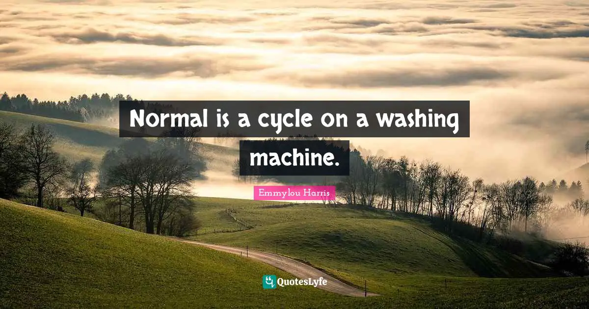 Washing Quotes: "Normal is a cycle on a washing machine."