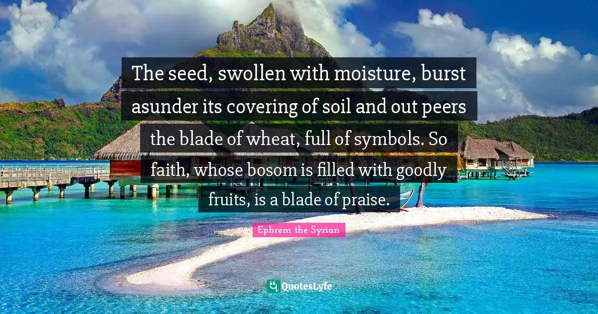 The seed, swollen with moisture, burst asunder its covering of soil and out peers the blade of wheat, full of symbols. So faith, whose bosom is filled with goodly fruits, is a blade of praise.