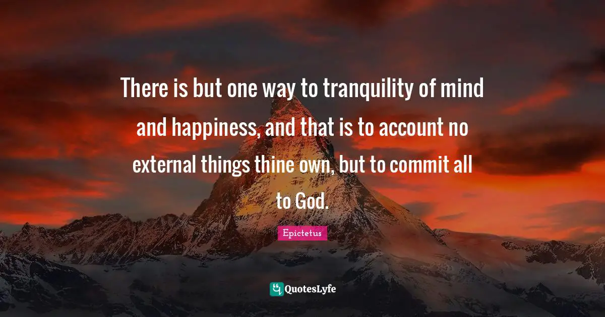 There is but one way to tranquility of mind and happiness, and that is to account no external things thine own, but to commit all to God.