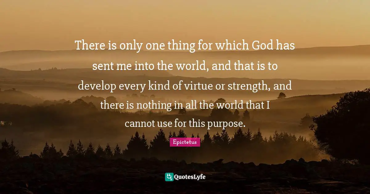 There is only one thing for which God has sent me into the world, and that is to develop every kind of virtue or strength, and there is nothing in all the world that I cannot use for this purpose.