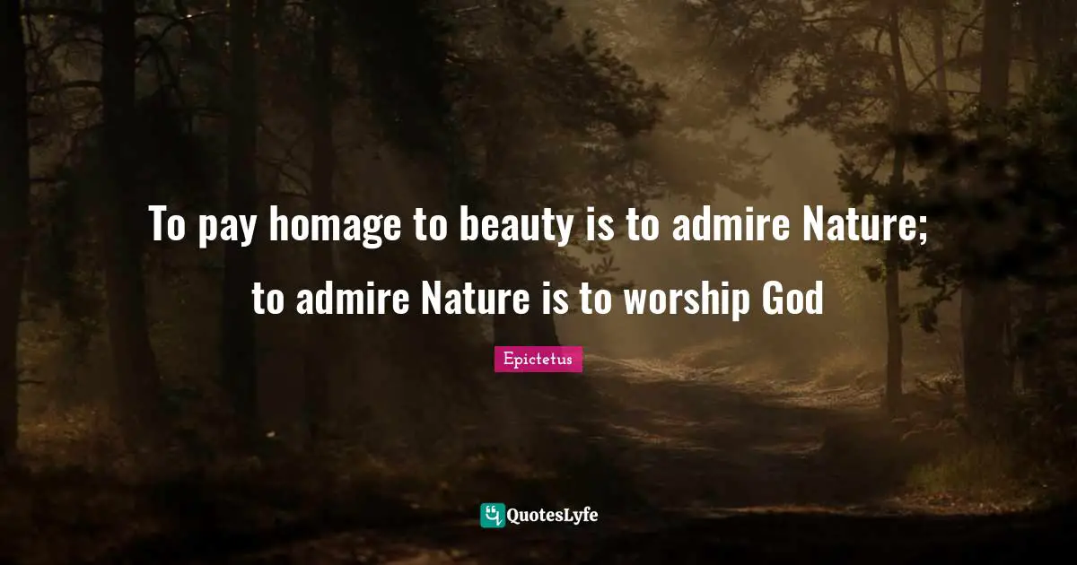 To pay homage to beauty is to admire Nature; to admire Nature is to worship God