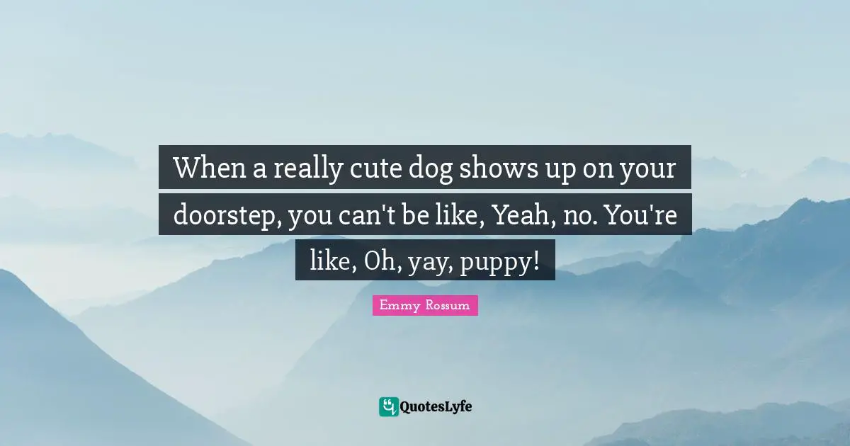 When a really cute dog shows up on your doorstep, you can't be like, Yeah, no. You're like, Oh, yay, puppy!