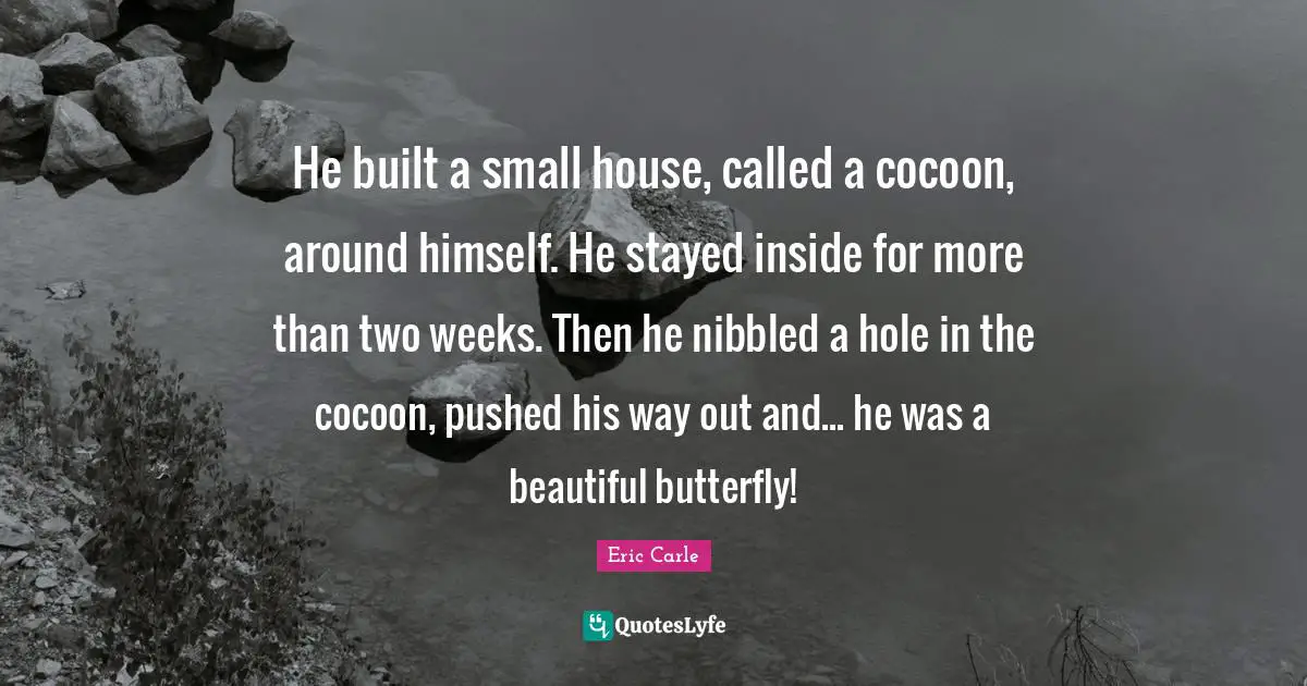 He built a small house, called a cocoon, around himself. He stayed inside for more than two weeks. Then he nibbled a hole in the cocoon, pushed his way out and... he was a beautiful butterfly!