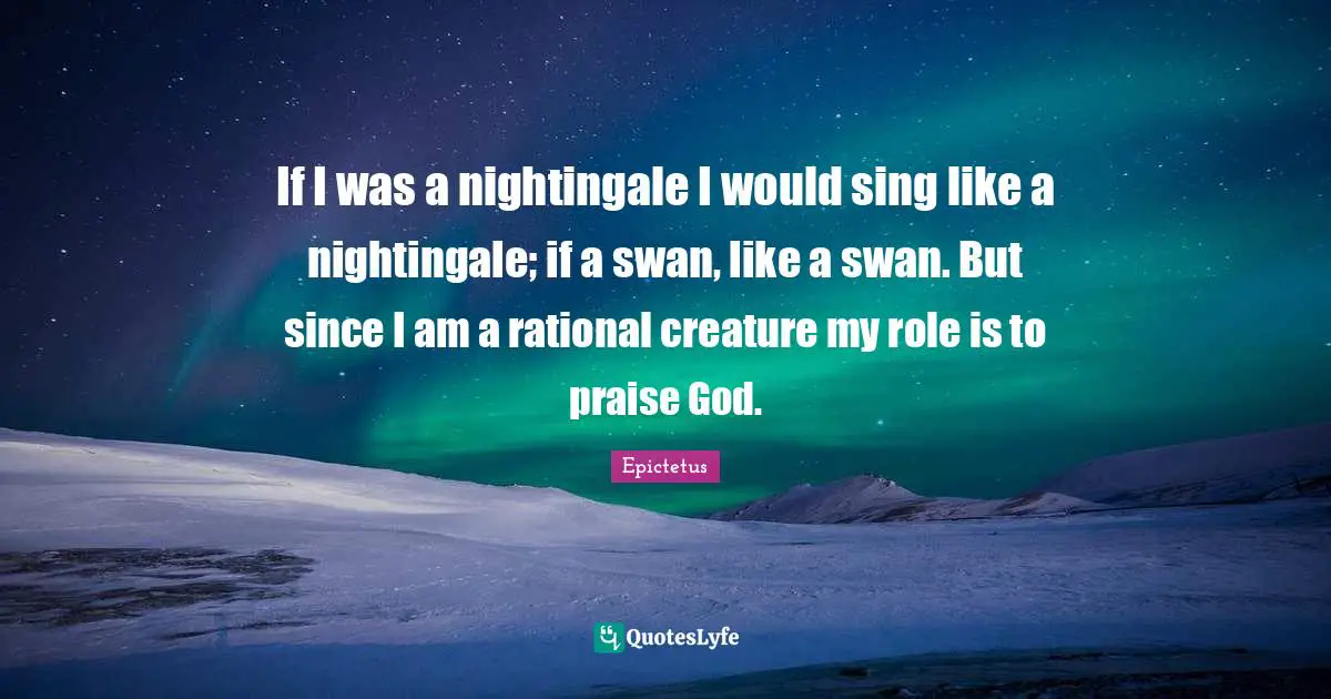 If I was a nightingale I would sing like a nightingale; if a swan, like a swan. But since I am a rational creature my role is to praise God.