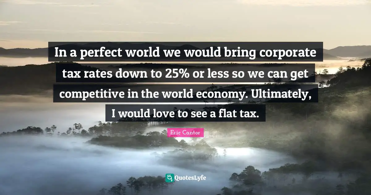 In a perfect world we would bring corporate tax rates down to 25% or less so we can get competitive in the world economy. Ultimately, I would love to see a flat tax.