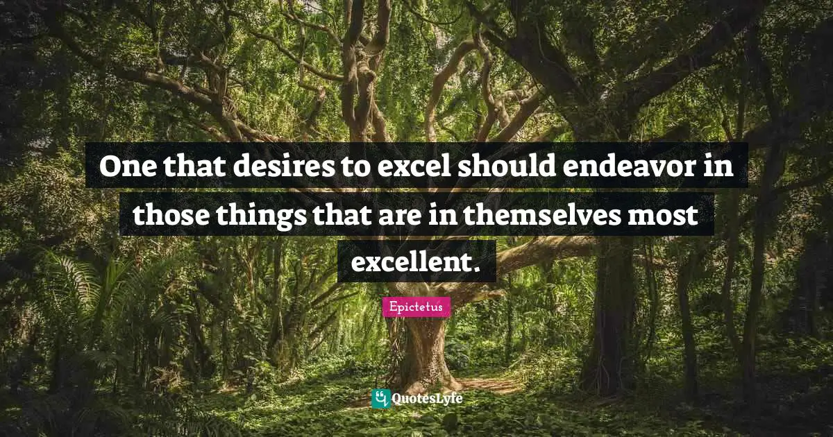 One that desires to excel should endeavor in those things that are in themselves most excellent.