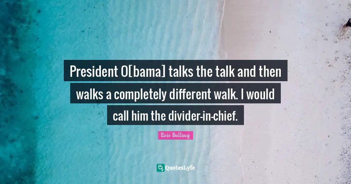 President O[bama] talks the talk and then walks a completely different walk. I would call him the divider-in-chief.